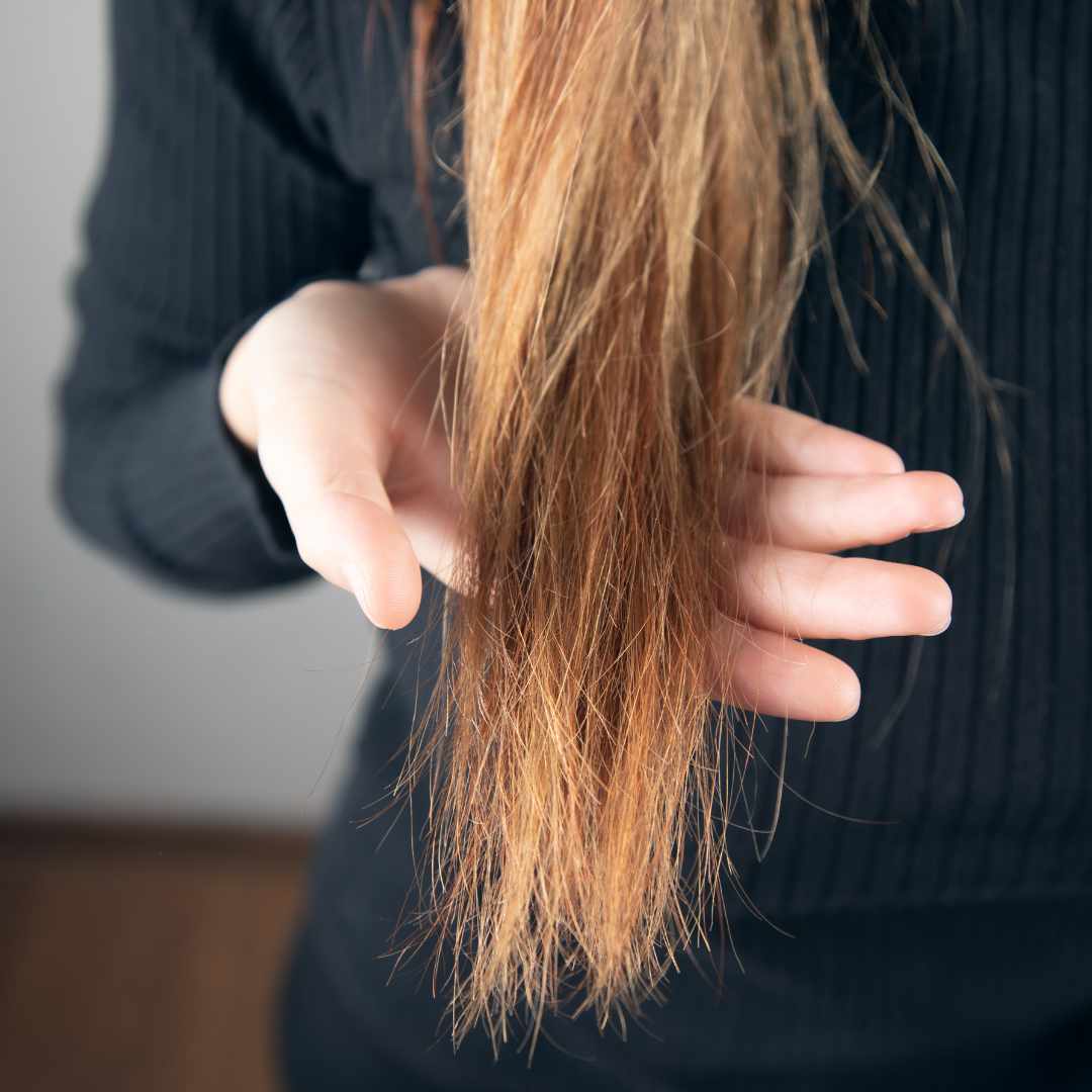 Bedste shampoo til skadet hår